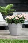 loft urban saucer square 28cm living concrete